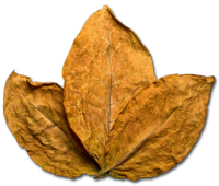 Bon Tobacco